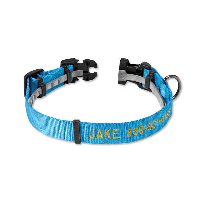Personalized Flea and Tick Collar V7776
