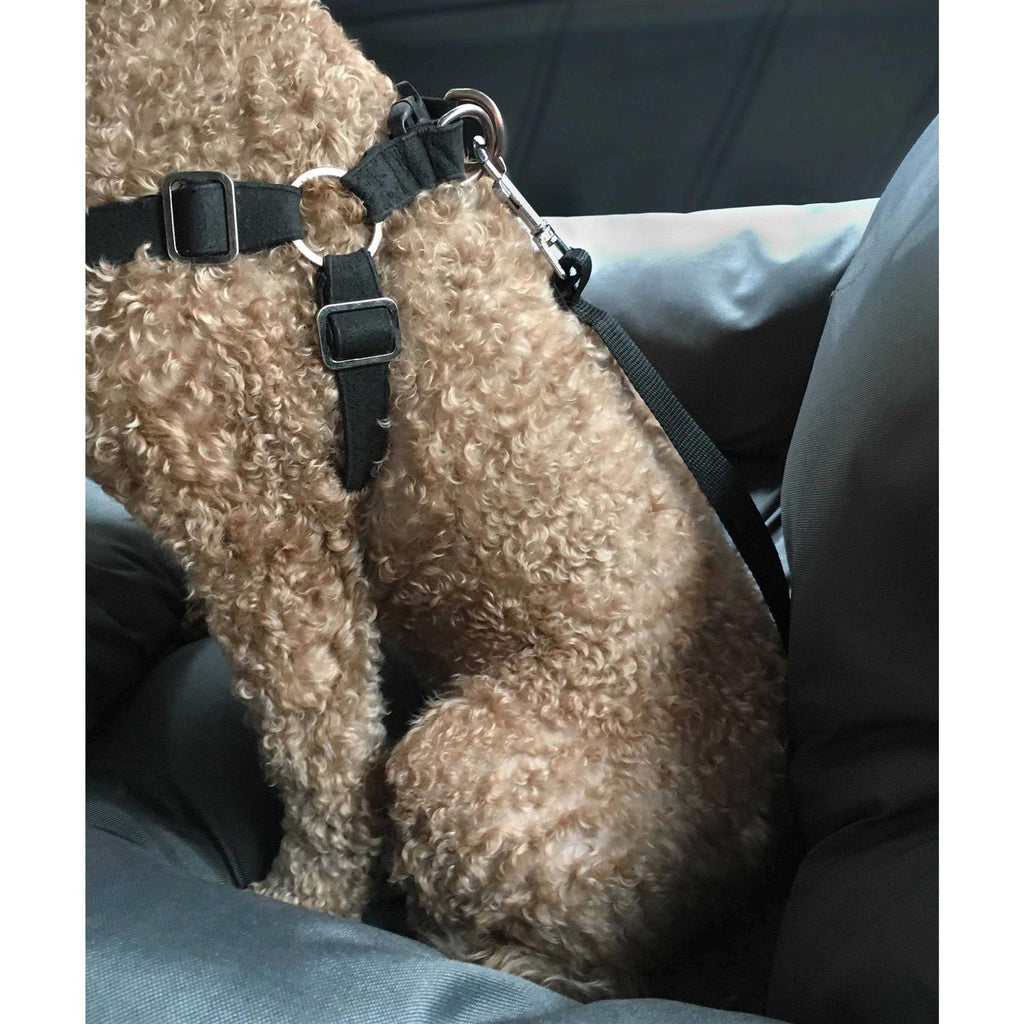 Travel Pet Bed X4706