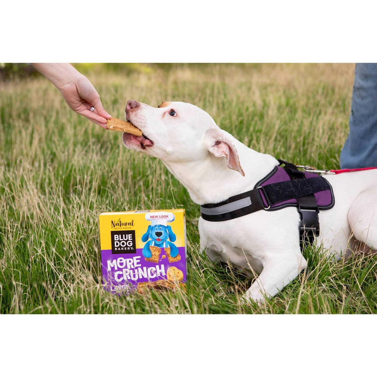 Dog Treats V357