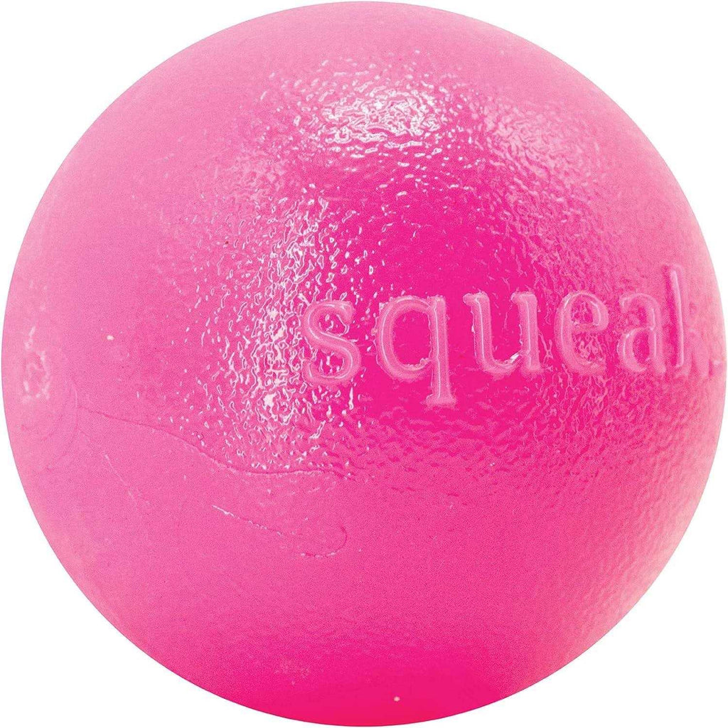 Squeak Toy Ball W795265