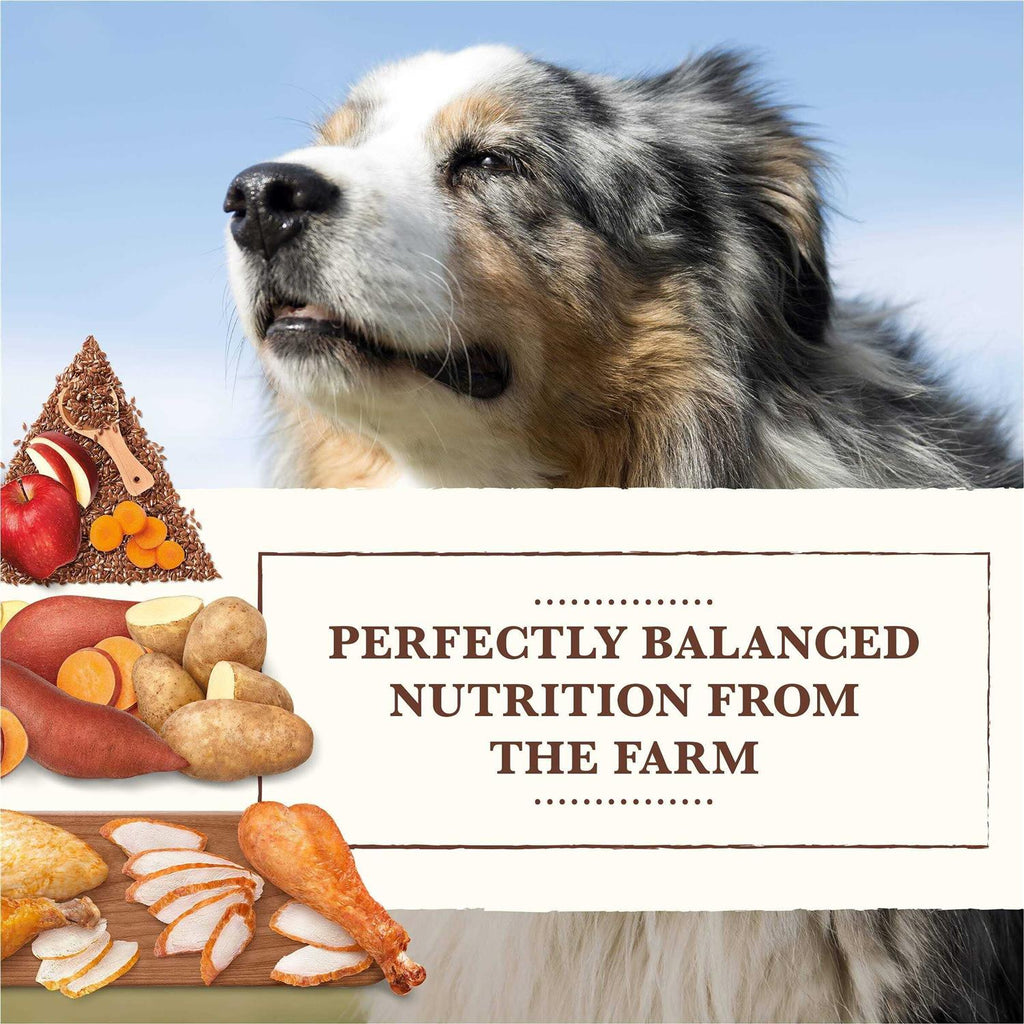Grain Free Chicken Turkey Recipe Dry Dog Food L313