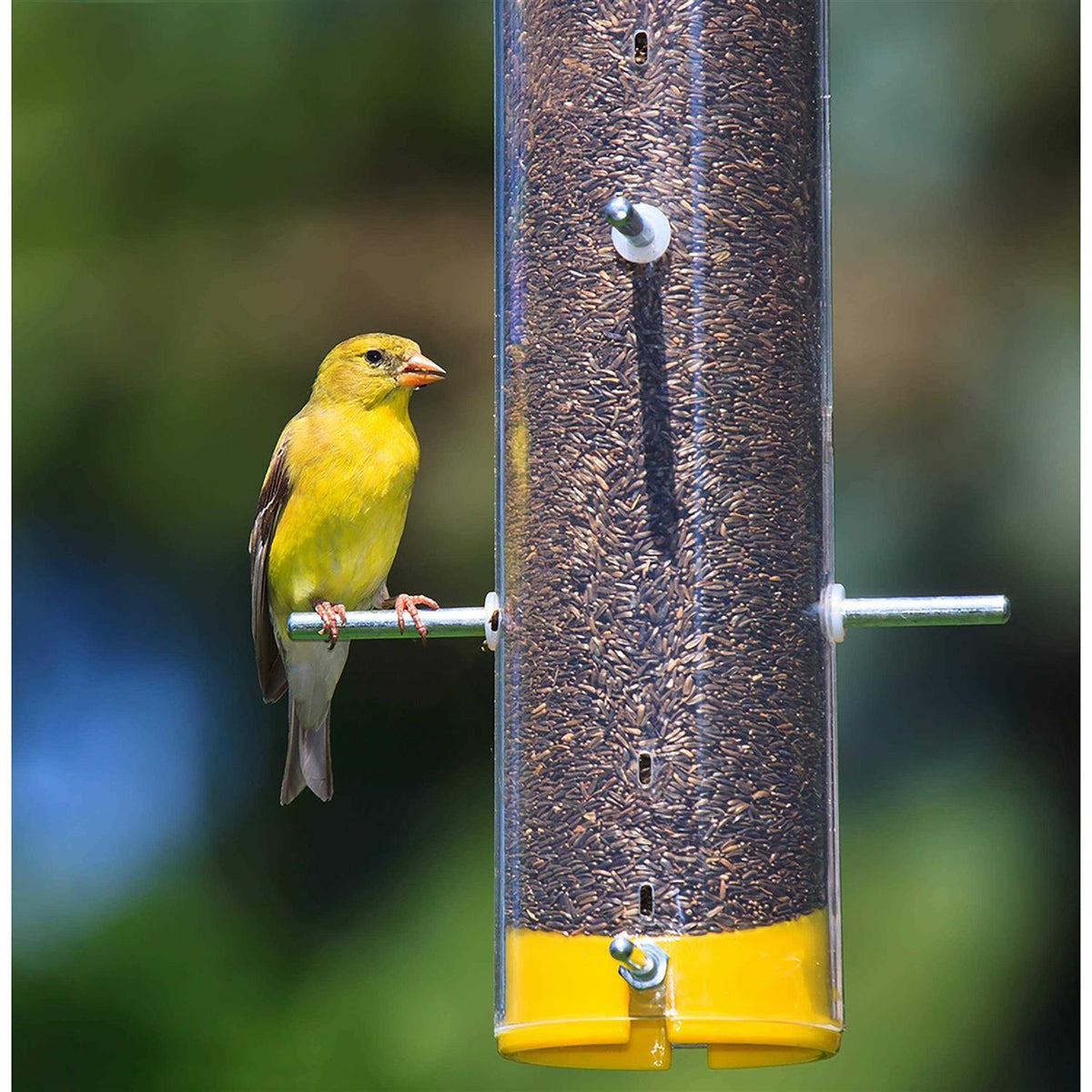 Nyjer Seed Wild Bird Food N543764