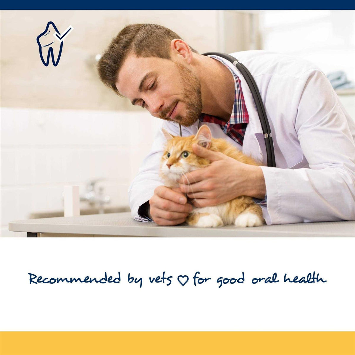 Soft Chews for Cats L2701