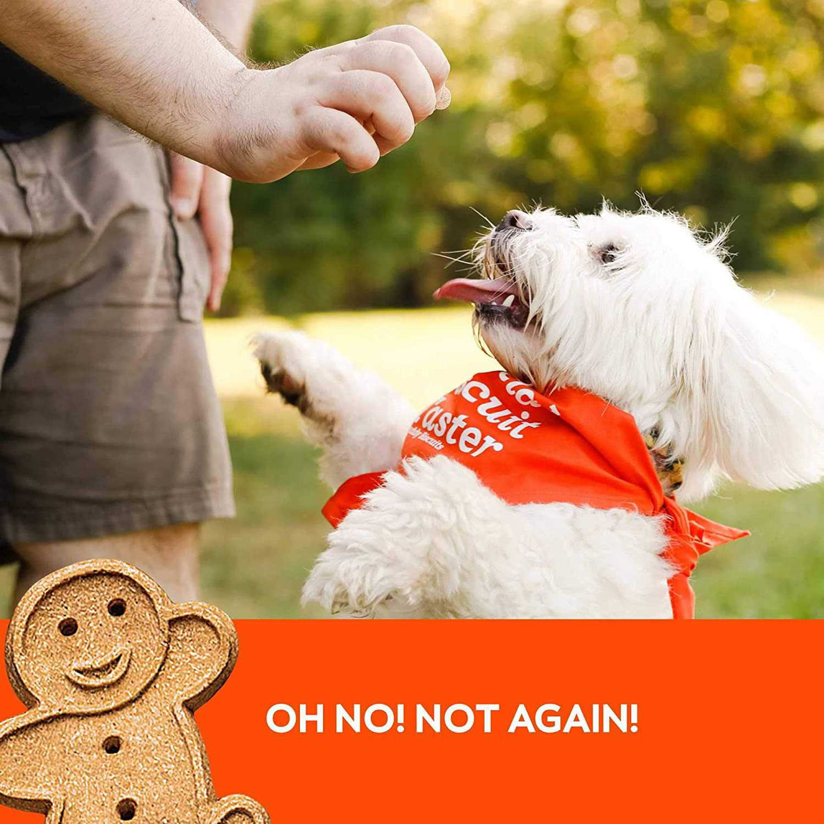 Peanut Butter Soft and Chewy Dog Treats K81551