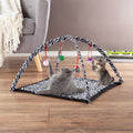Foldable Cat Activity Center F660