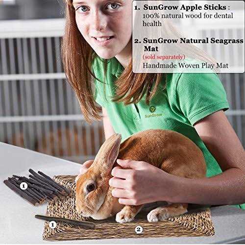 Apple Sticks 200g Wood Chew Sticks R177296