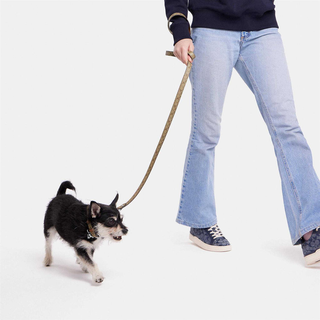 Boxed Pet Leash In Signature Canvas M761850
