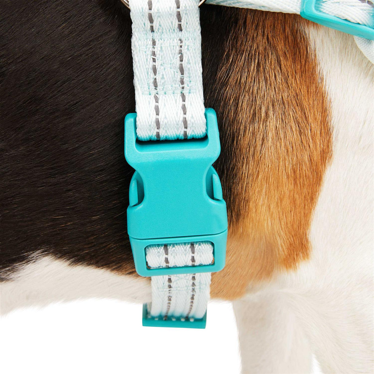 Easy On Training Dog Harness R4359