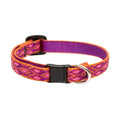 Cat Safety Collar S5559