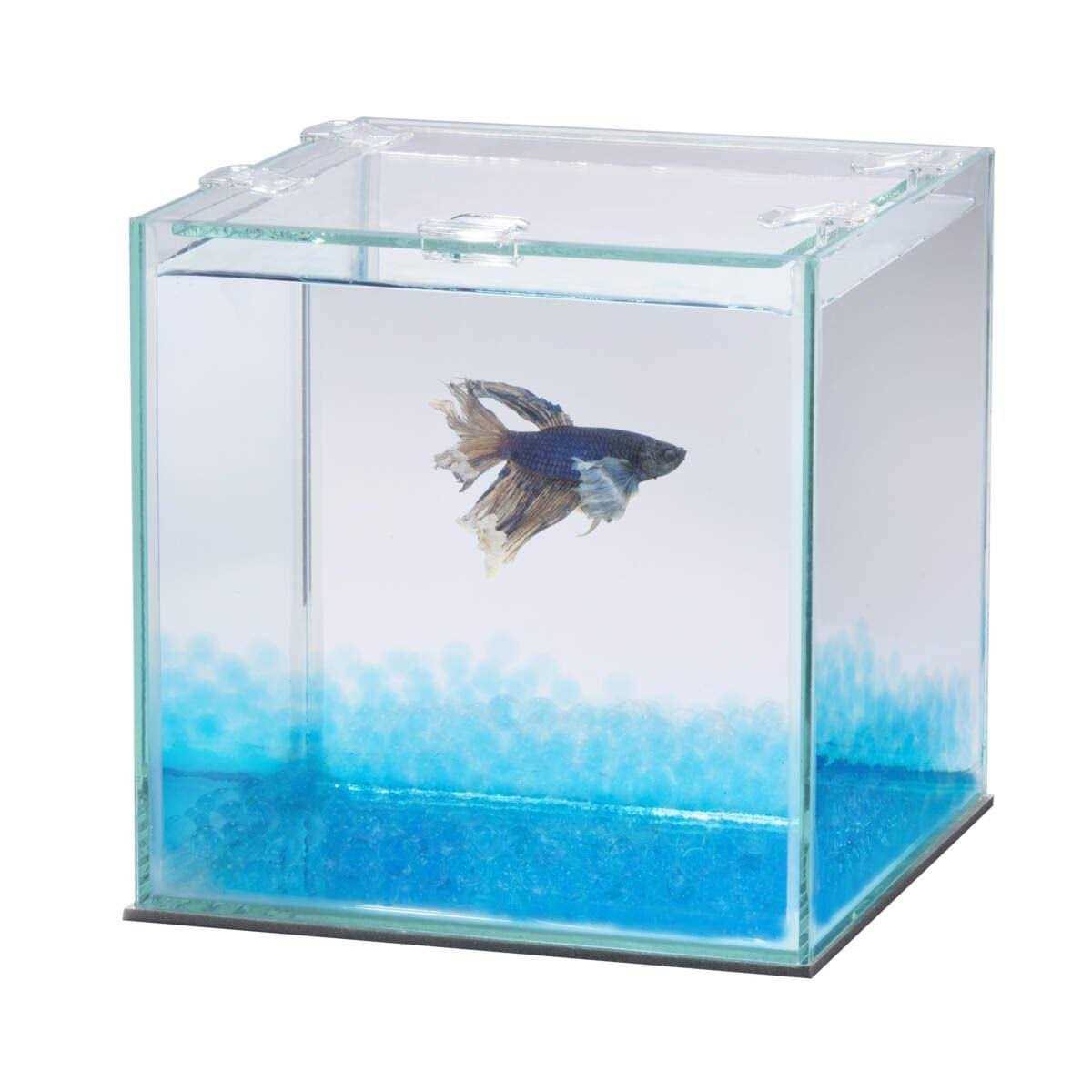 Betta Beads M886676