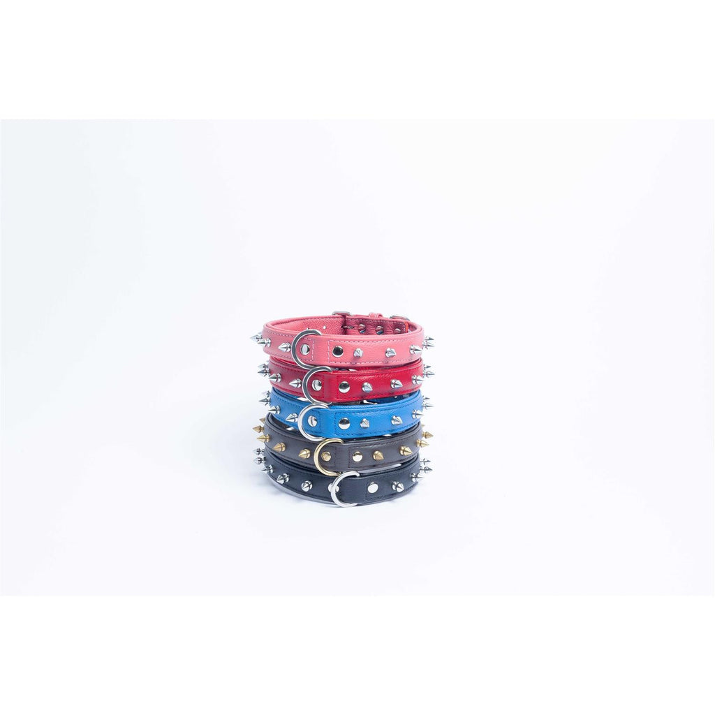 Dog Collar C883