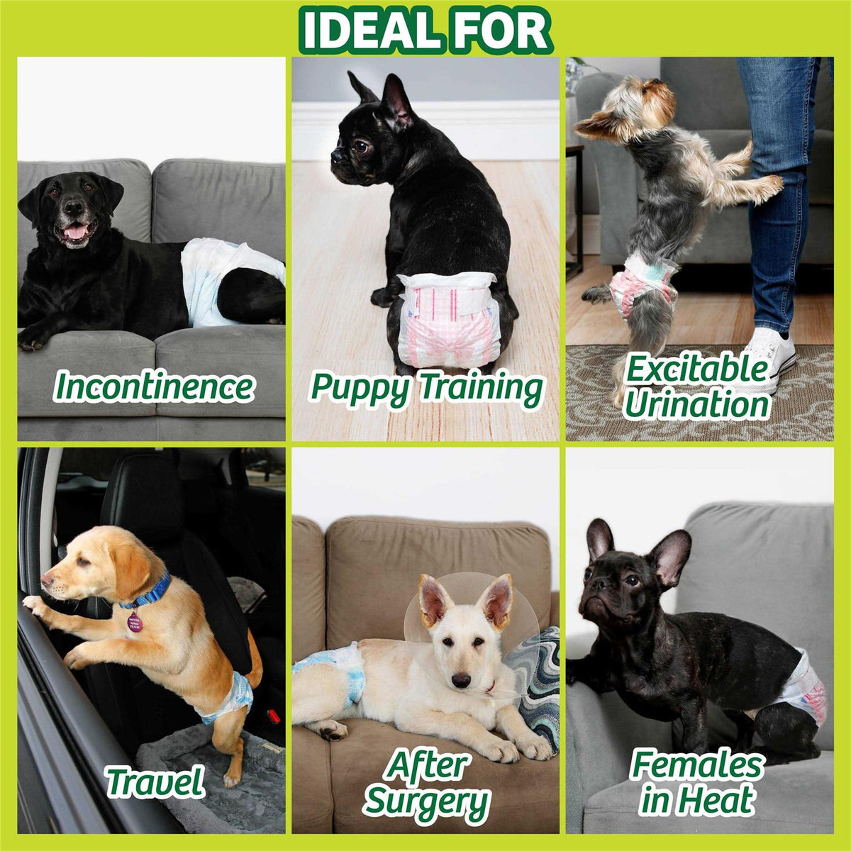 Disposable Male & Female Dog Diapers D657