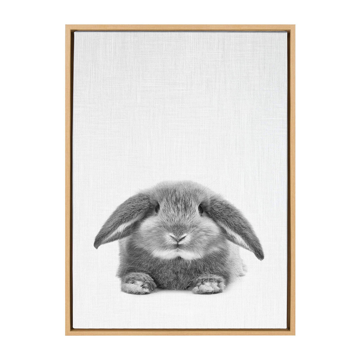 Framed Canvas D268