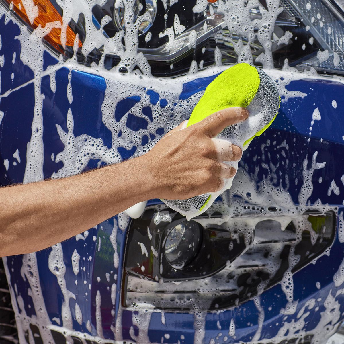 Wash and Bug Sponge O23533