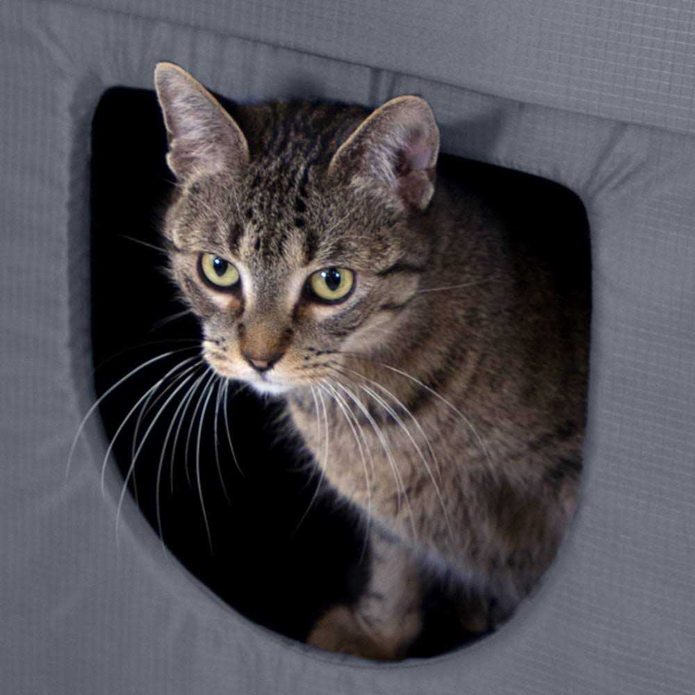 Outdoor Cat House E731612