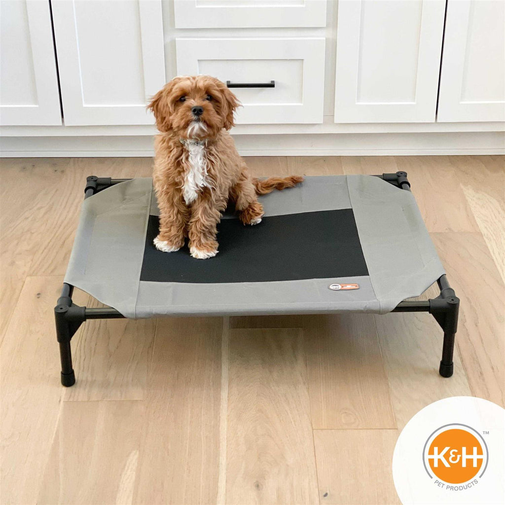 Elevated Pet Bed W250153
