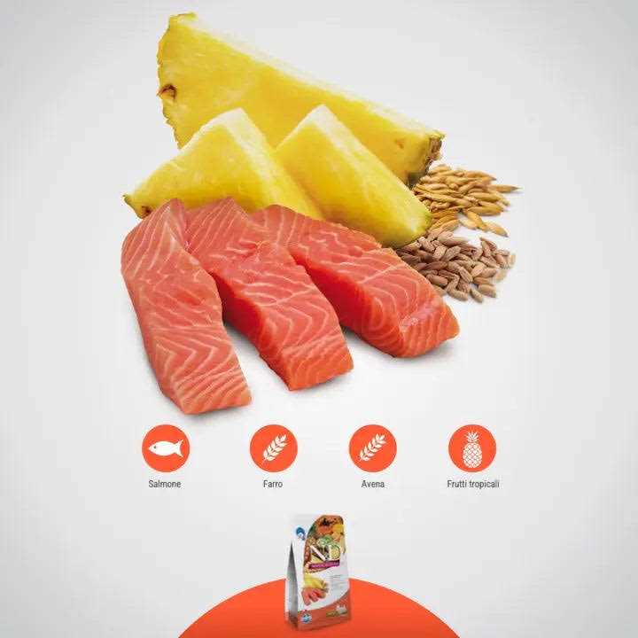 Salmon Adult Dog Food O73691