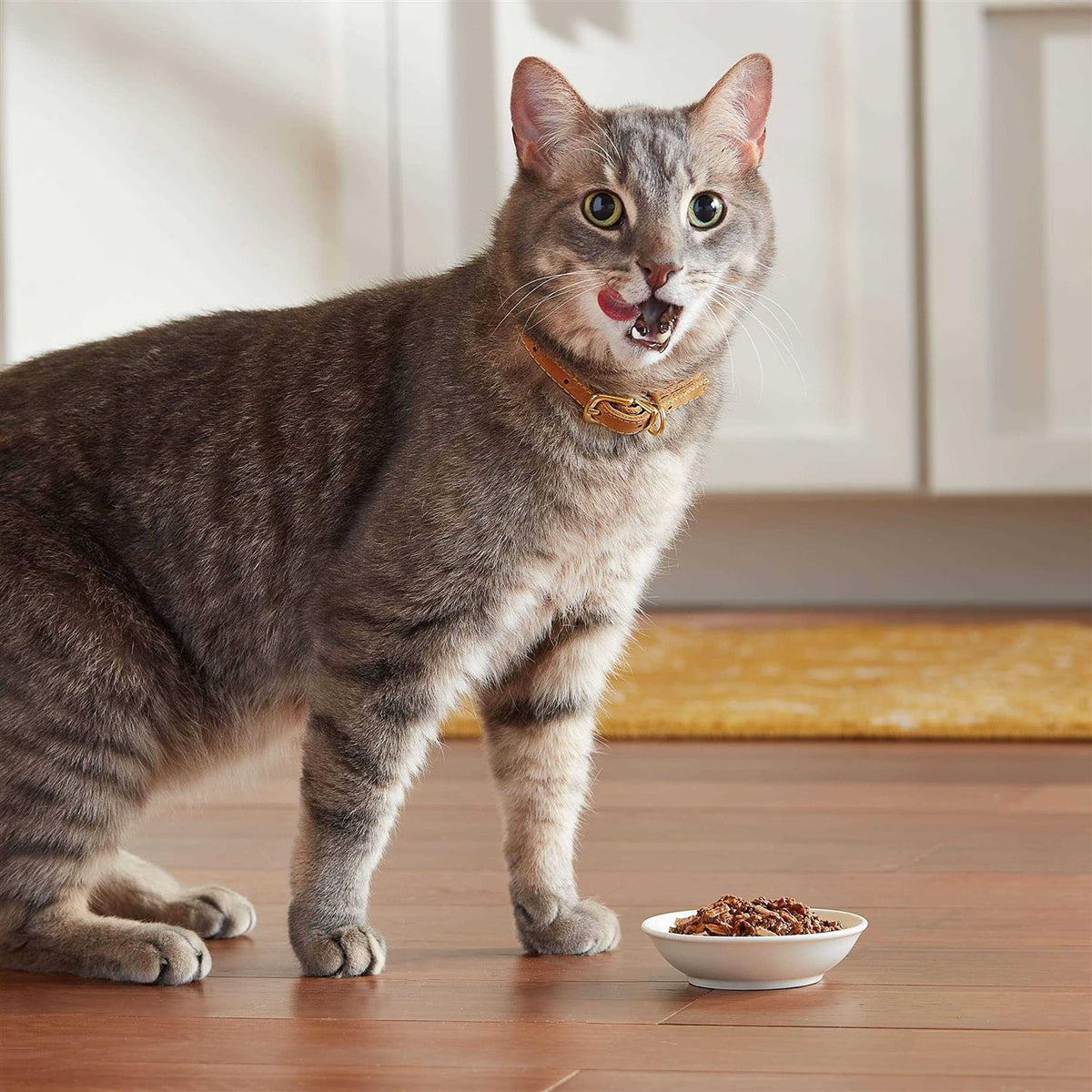 Wet Cat Food D143731