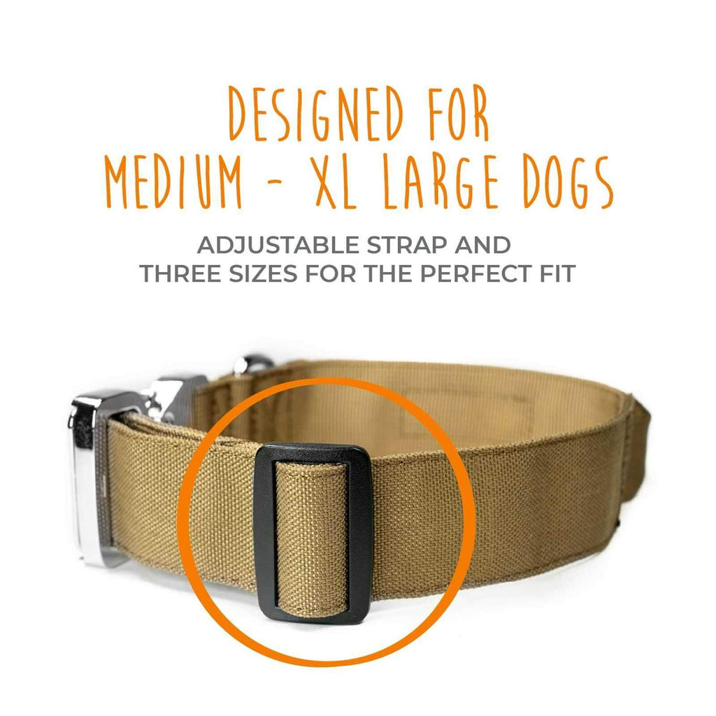 Heavy Duty Dog Collar with Metal Buckle W5033