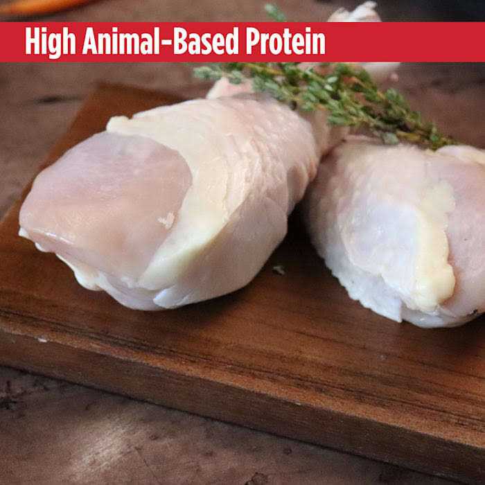 Chicken Dry Cat Food R602351