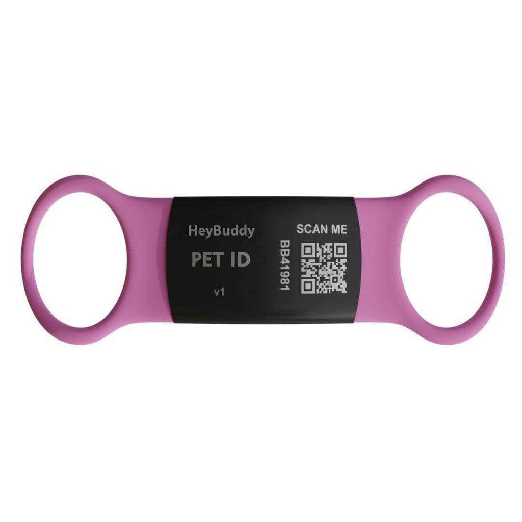 Noiseless QR Code Pet Tag Q784