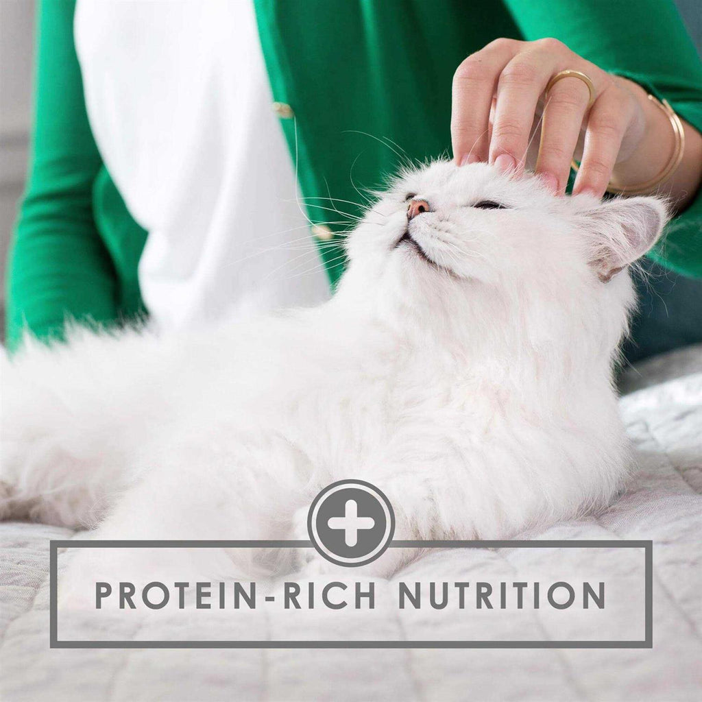 Wet Cat & Kitten Food H151450