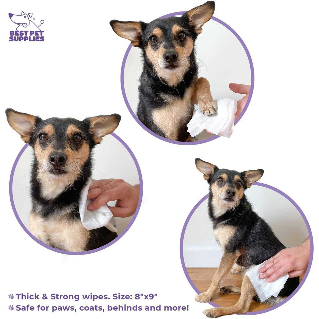 Pet Grooming Wipes for Dogs & Cats C754195