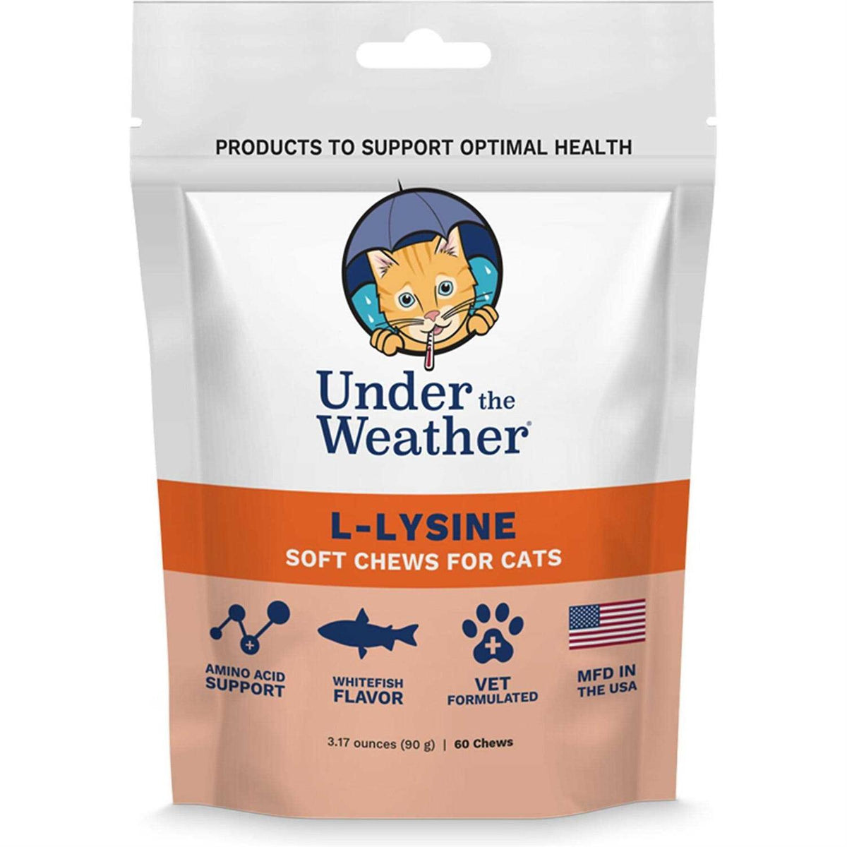 L Lysine Soft Chews E99253