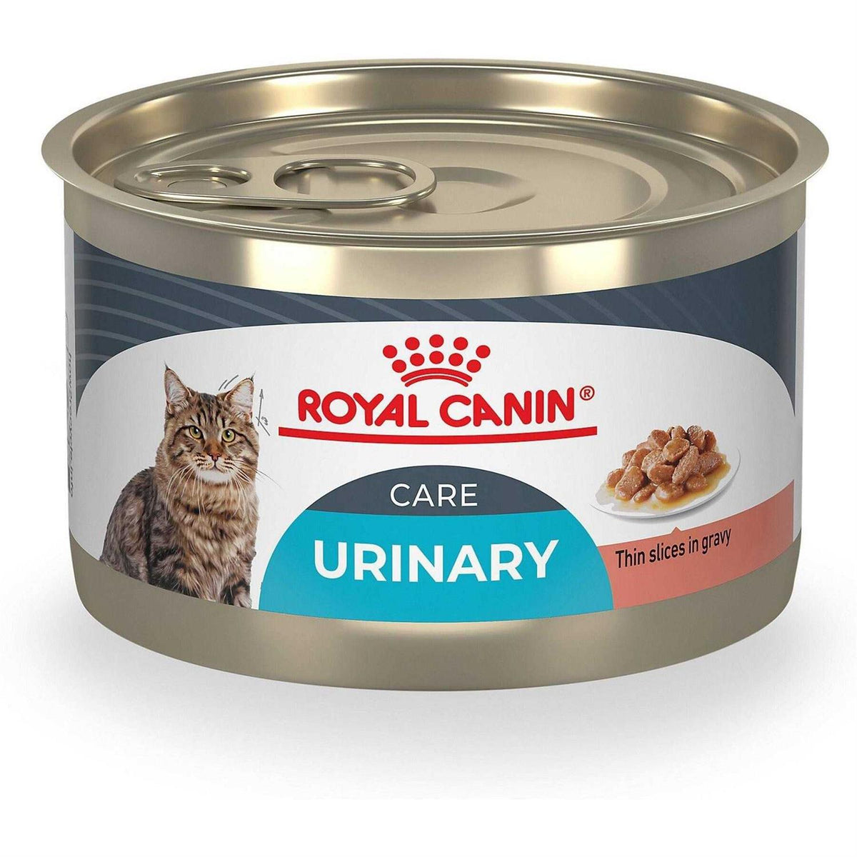 Wet Cat Food C194