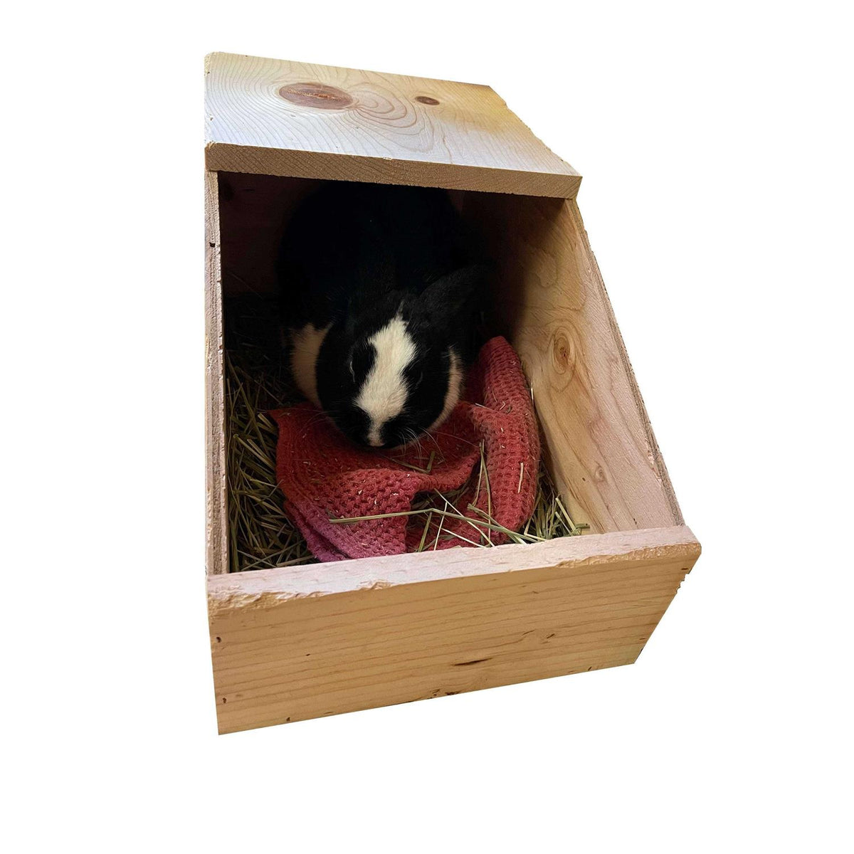 Rabbit Nesting Box U91491