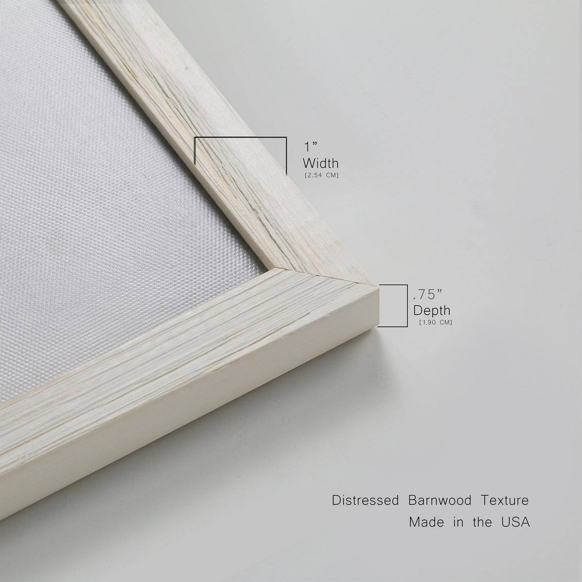 Framed Canvas 20x20 Q4802
