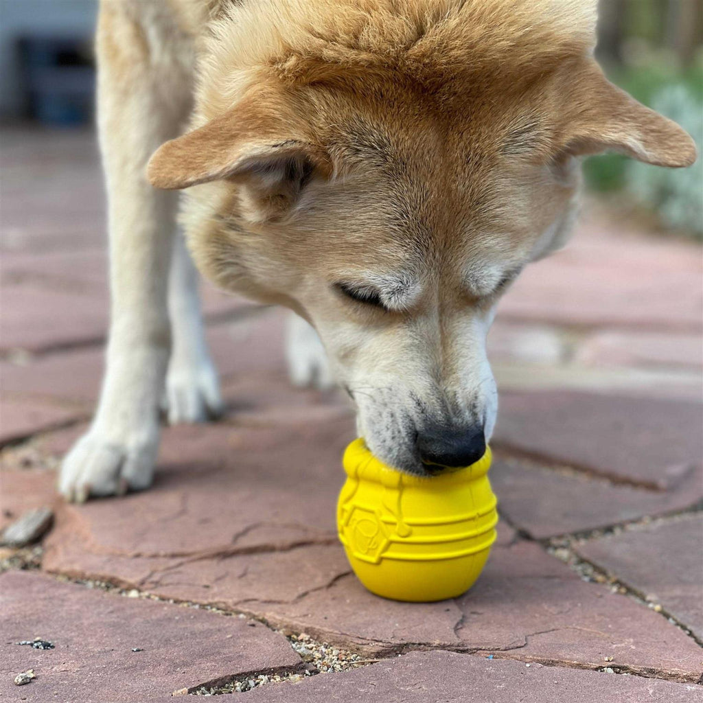 Durable Treat Dispenser & Enrichment Toy N313