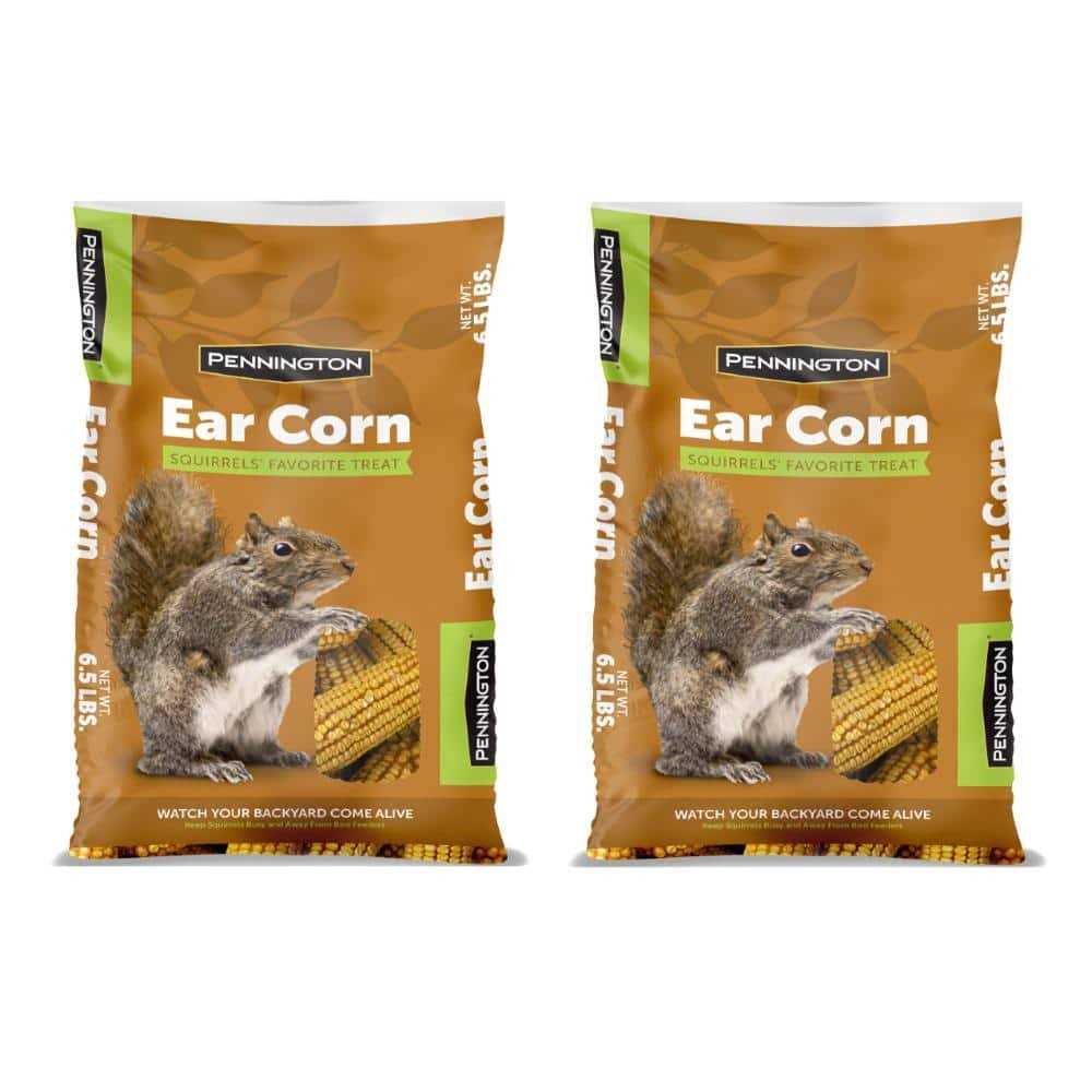 Squirrels Ear Corn Cobs N924208
