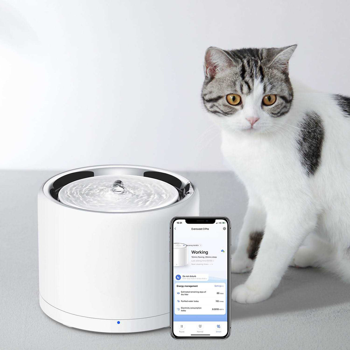 Pet Water Fountain K98884
