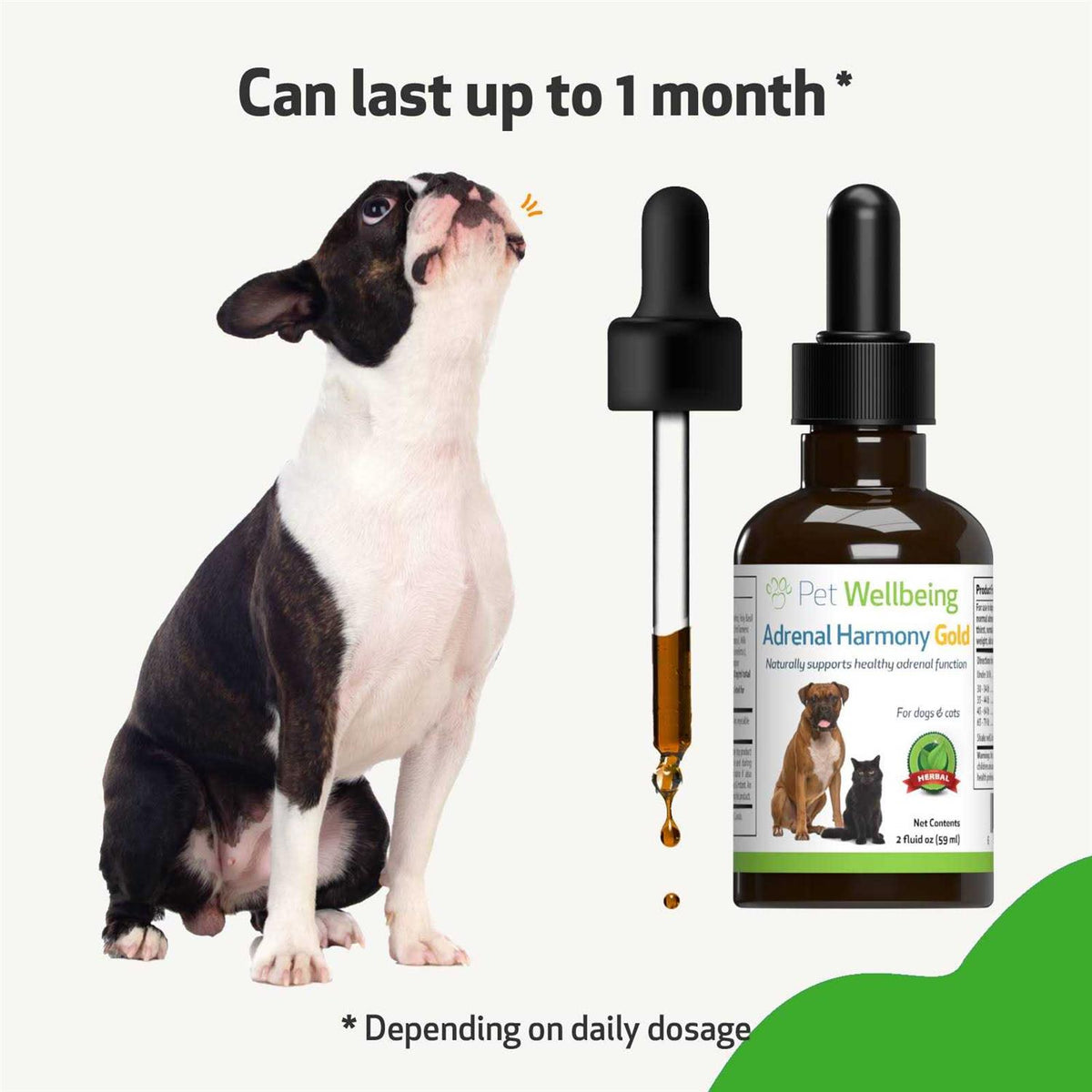 Adrenal Harmony Gold Dog Supplement X4031