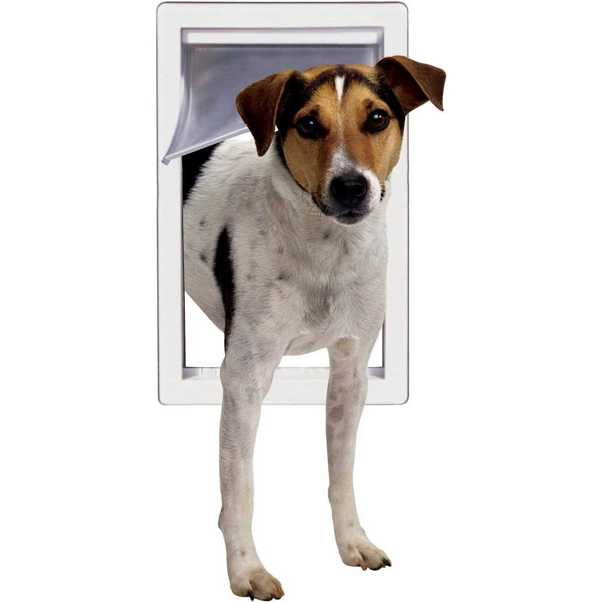 Pet Door A877558