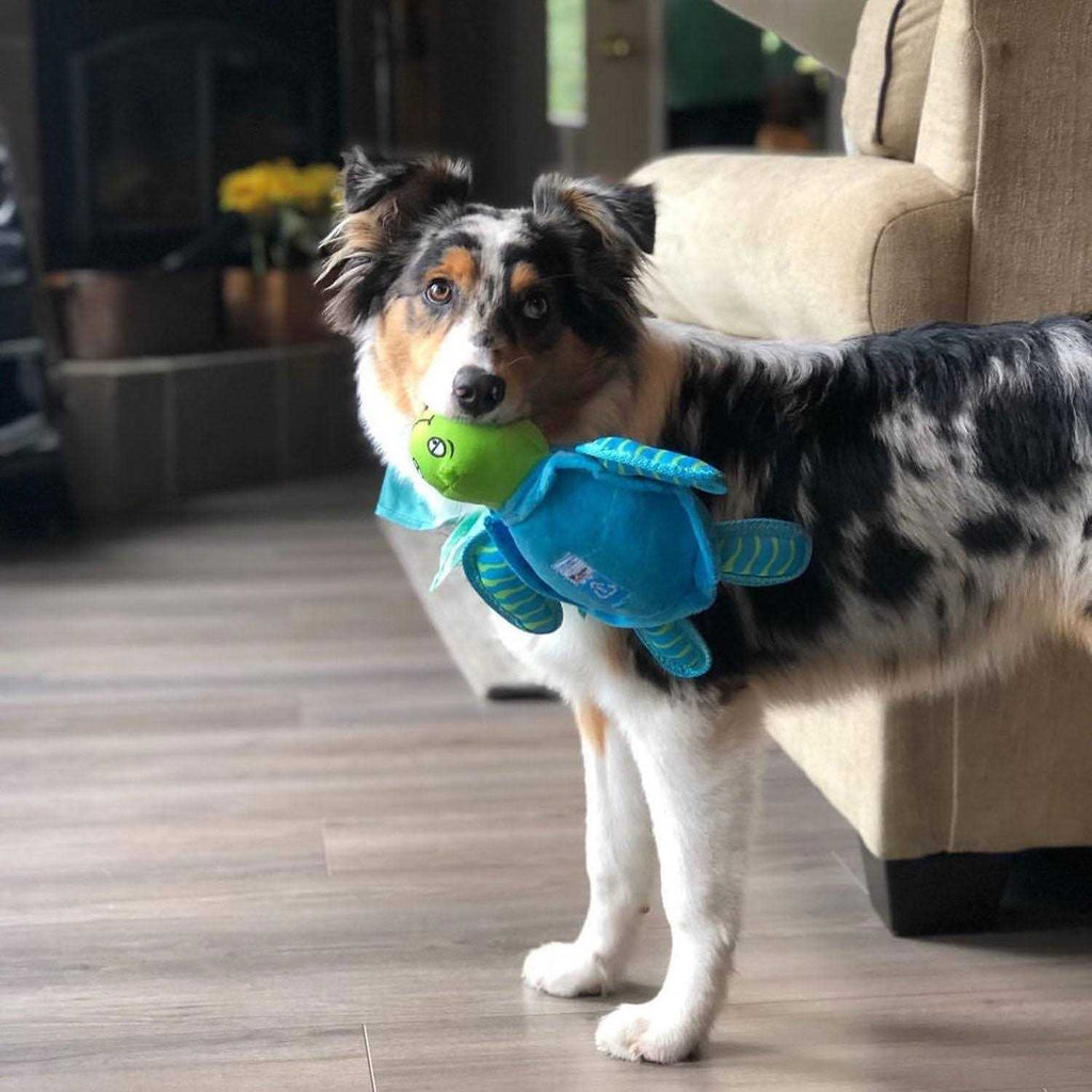 Plush Turtle Dog Toy P9884