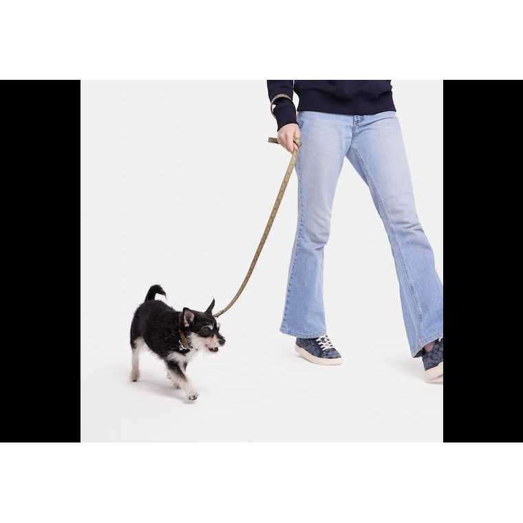 Boxed Pet Leash In Signature Canvas M761850