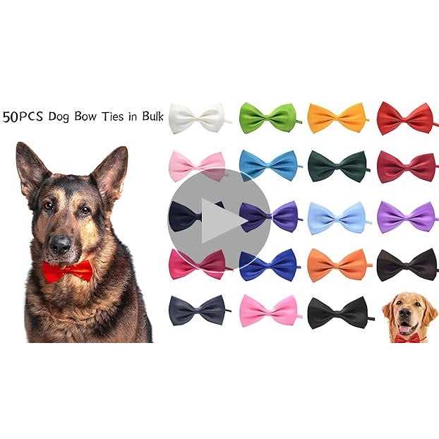 Dog Bow Ties with Adjustable Collar D496142