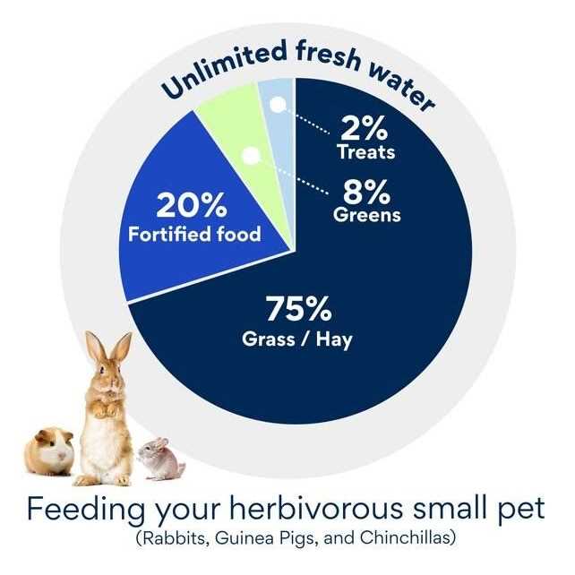 Grain-Free Rabbit Food H408211