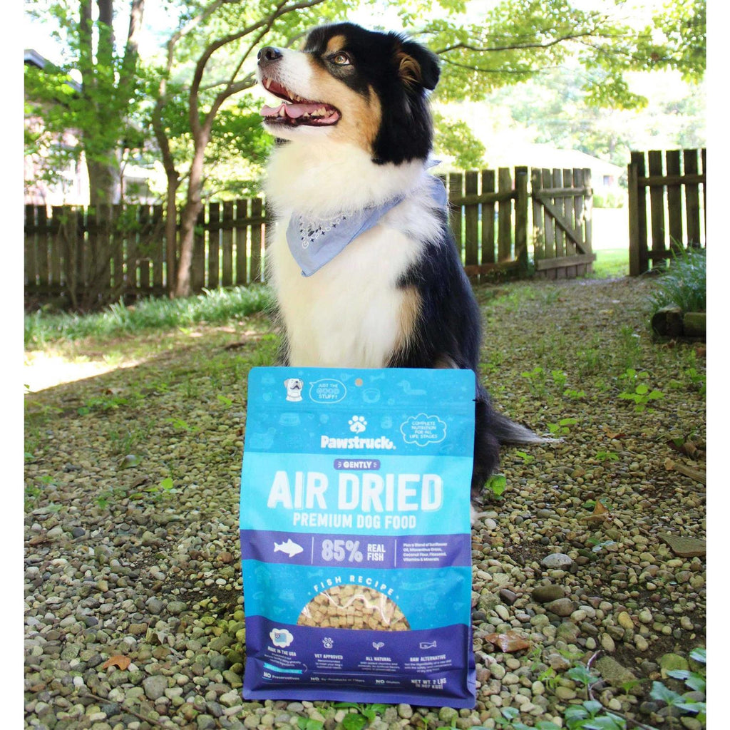 Grain-Free Air Dried Dog Food B9697