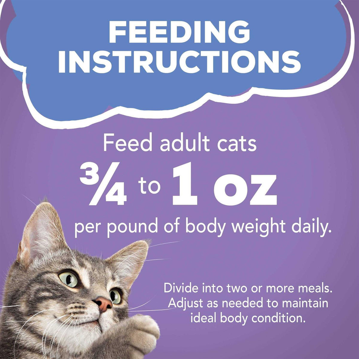 Turkey & Cheese Wet Cat Food P5253