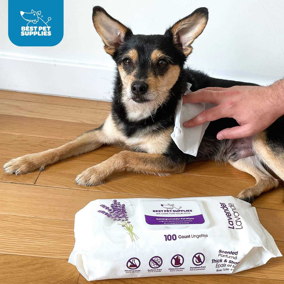 Pet Grooming Wipes for Dogs & Cats C754195