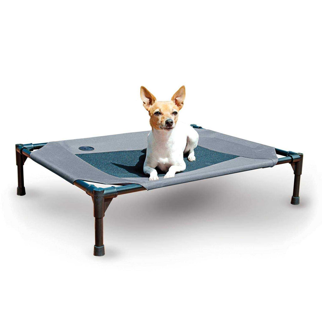 Elevated Pet Bed W250153