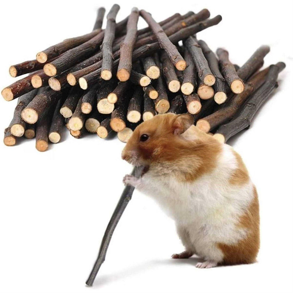 Apple Sticks 200g Wood Chew Sticks R177296