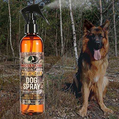 Citronella Dog Spray Y1499