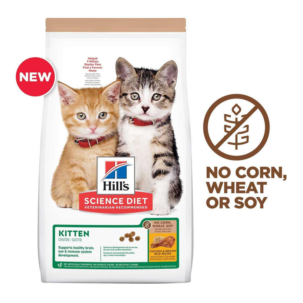 Kitten Dry Cat Food Y8901