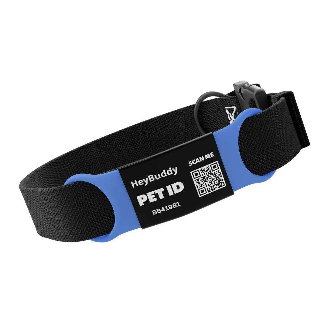 Noiseless QR Code Pet Tag Q784