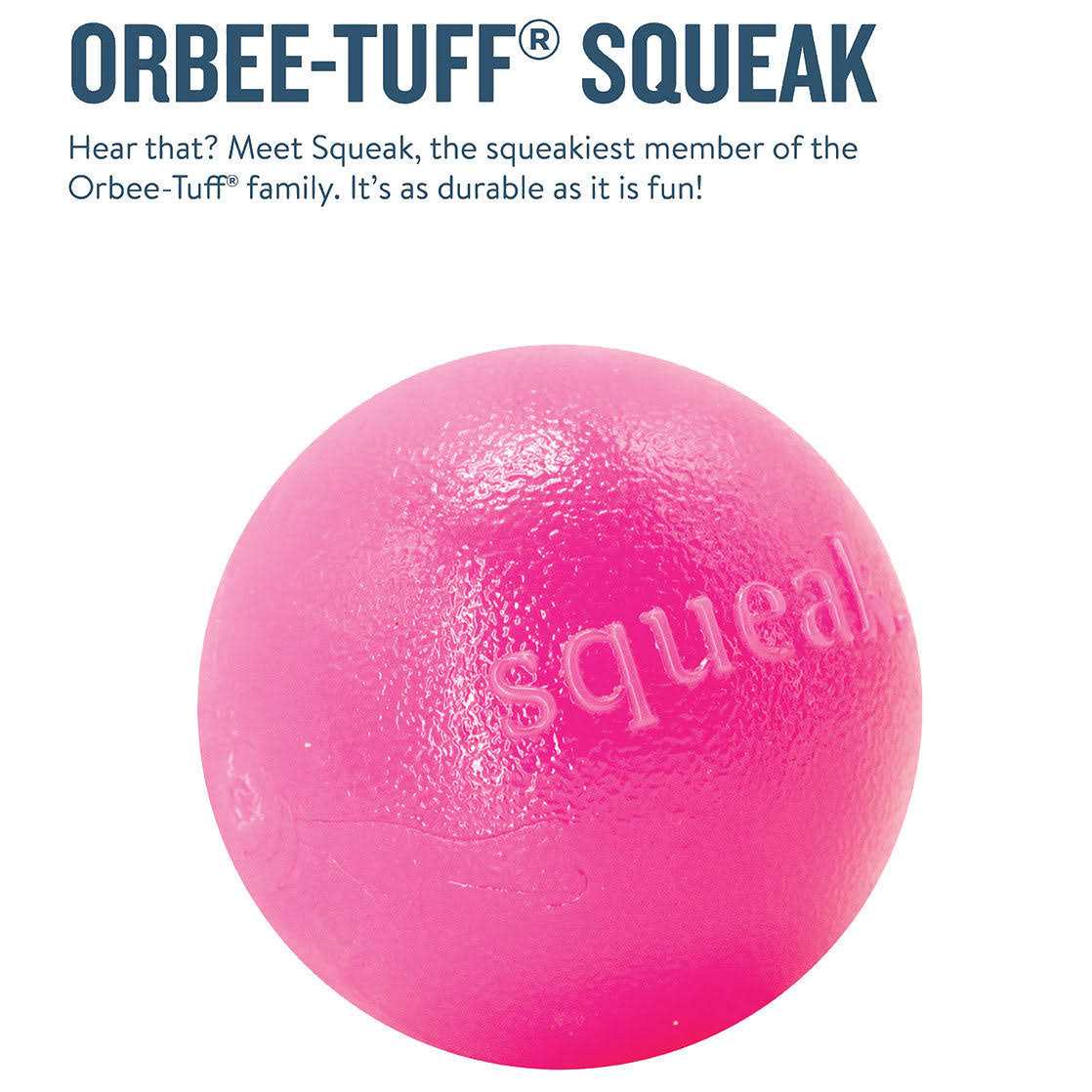 Squeak Toy Ball W795265