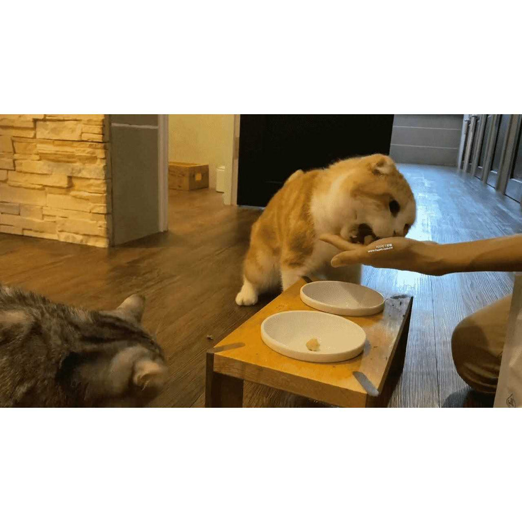 Freeze-Dried Cat Food S341